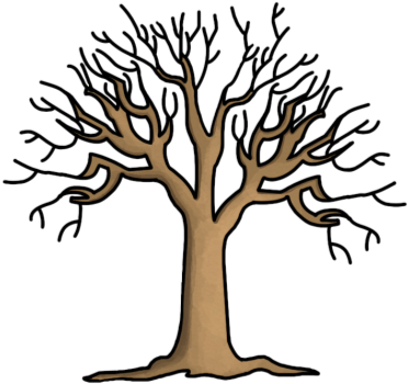 Printable Tree Without Leaves Coloring Page Download - Cartoon Picture Of A Winter Tree - Free Transparent PNG Clipart Images Download. - Winter Transparent PNG Free Download
